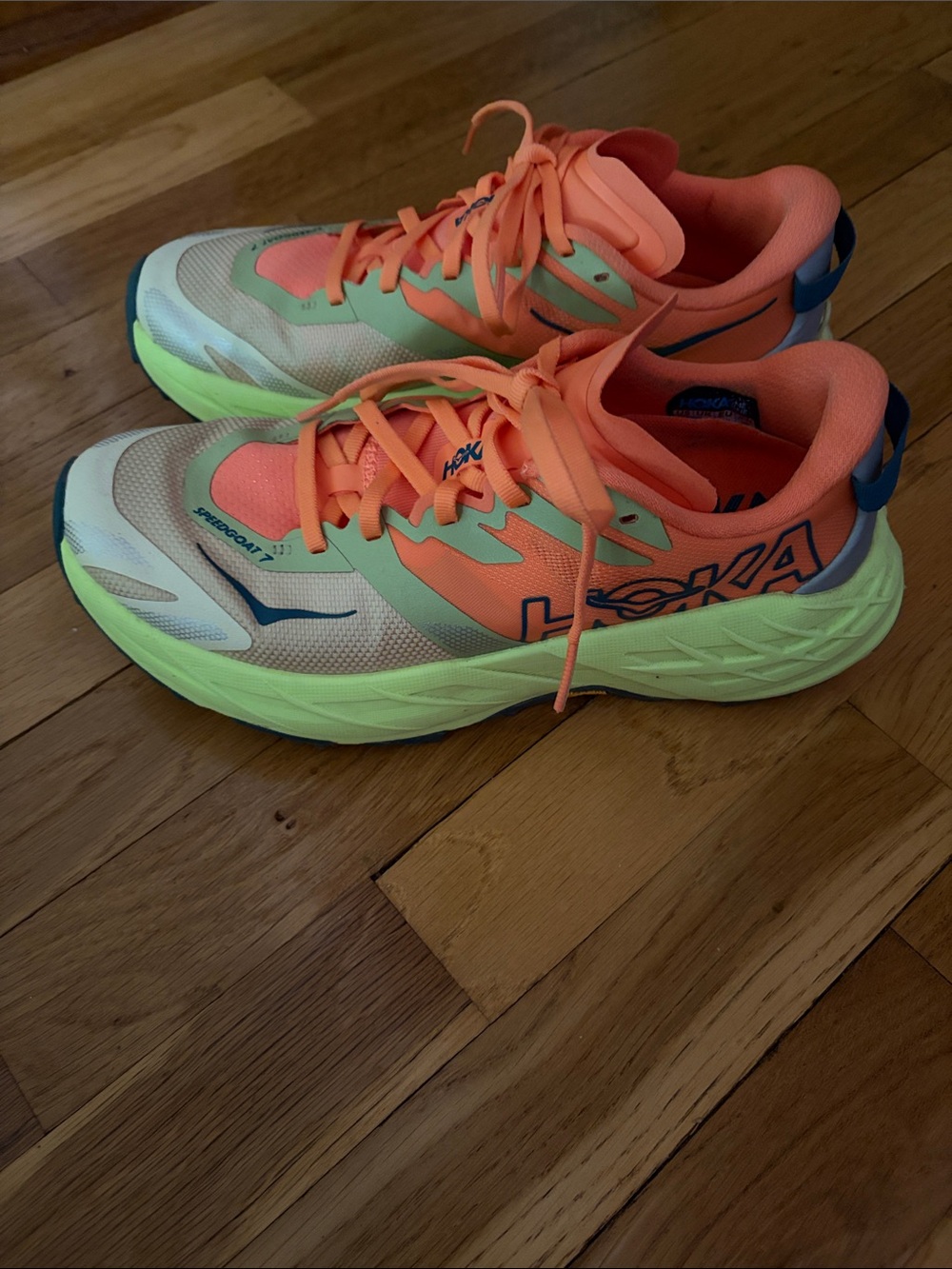 Hoka Speedgoat 7